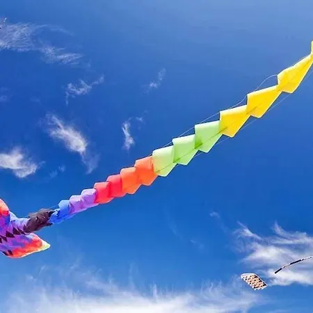 Comfortable Homes With Terraces, *