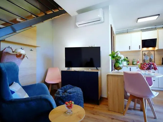 Comfortable Homes With Terraces, Mielenko