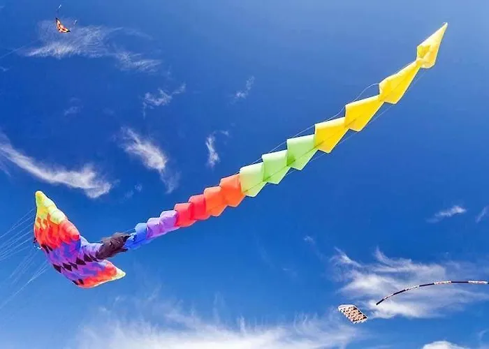 Comfortable Homes With Terraces, *